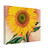 Georgia OKeeffe  A Sunflower from Maggie Canvas