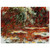 claude monet  Water Lily Pond Aluminum Print