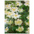 claude monet  White Clematis Aluminum Print