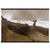 Winslow Homer  THE WEST WIND Museum-Quality Matte Paper Poster with Hanger