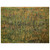 Vincent van Gogh  Pasture in Bloom Wood Print