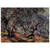 claude monet  Olive Trees in Bordigher Fine Art Poster / Art Print