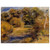 PierreAuguste Renoir  The Clearing Aluminum Print