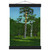 Arkhyp Kuindzhi  Pine Museum-Quality Matte Paper Poster with Hanger