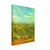 Vincent van Gogh  Wheat Field with a Lark Canvas