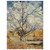Vincent van Gogh  Pink Peach Trees Wood Print