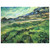 Vincent van Gogh  The Green Wheatfield behind the Asylum Aluminum Print