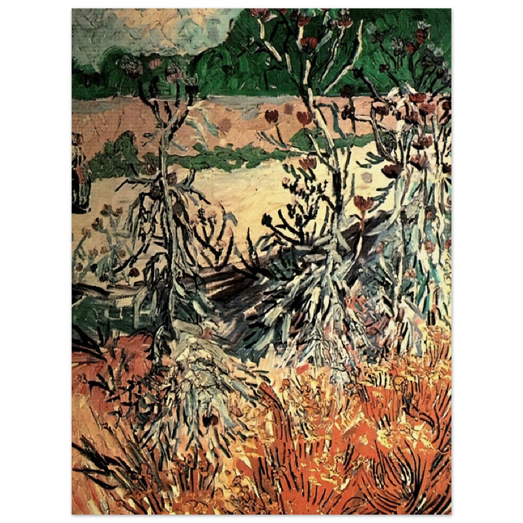 Vincent van Gogh  Thistles N2 Wood Print