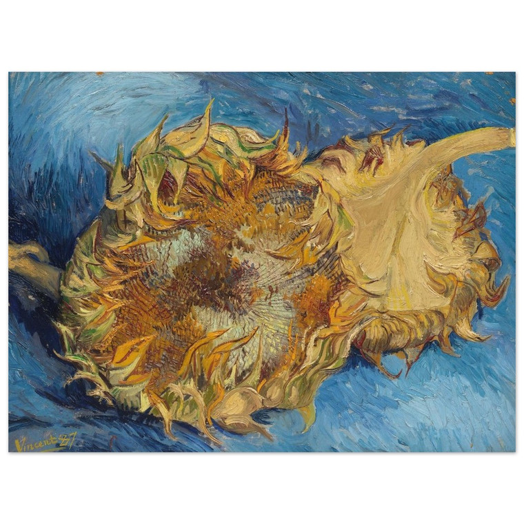 Vincent van Gogh  Still Life with Two Sunflowers Aluminum Print