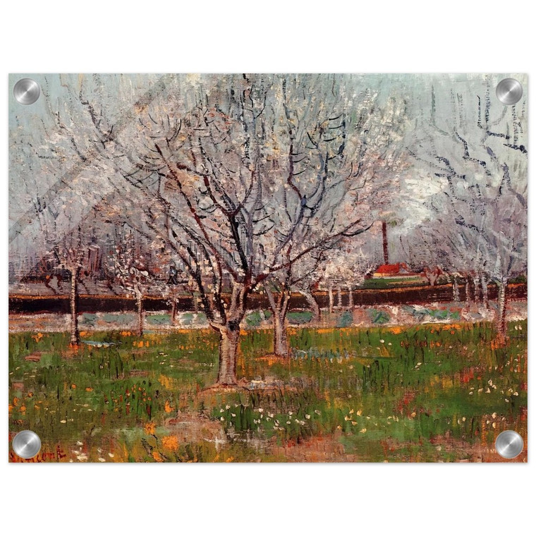 Vincent van Gogh  Orchard in Blossom Plum Trees Acrylic Print