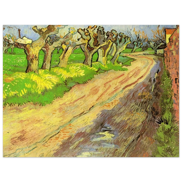 Vincent van Gogh  Pollard Willows Aluminum Print