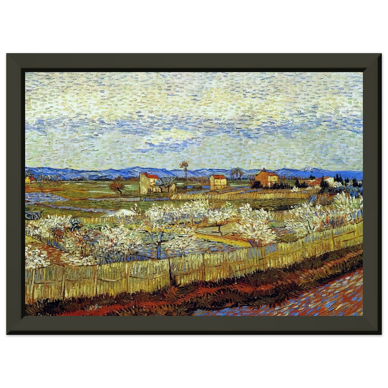 Vincent van Gogh  Peach Trees in Blossom Premium Metal Framed Art Print / Poster