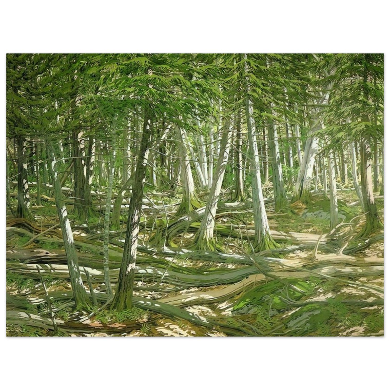 Neil Welliver  Old Windfall  1982 Aluminum Print
