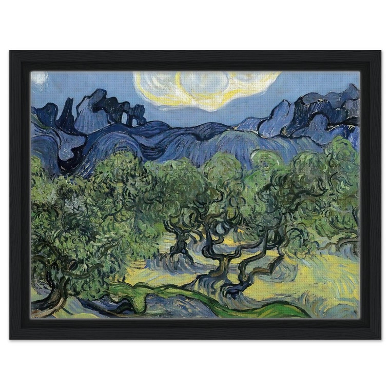 Vincent van Gogh  The Alpilles with Olive Trees in the Foreground Framed Canvas