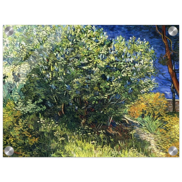 Vincent van Gogh  Lilac Bush Acrylic Print