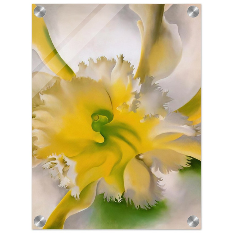 Georgia OKeeffe  An Orchid Acrylic Print