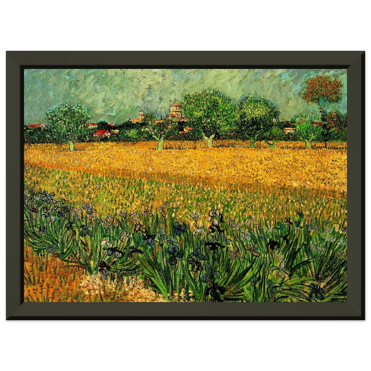 Van Gogh Arles with Irises Premium Metal Framed Art Print Poster