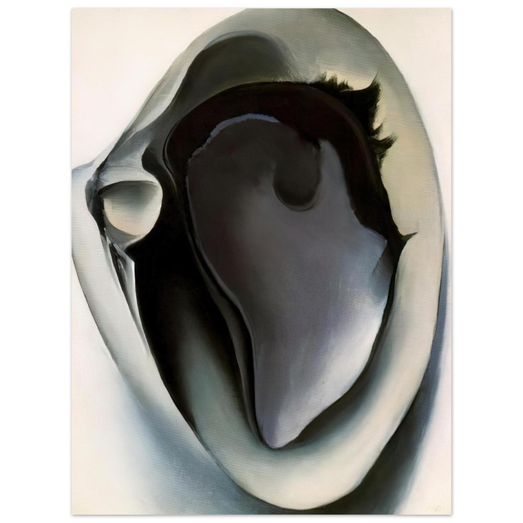 Georgia OKeeffe  Clam and mussel Aluminum Print