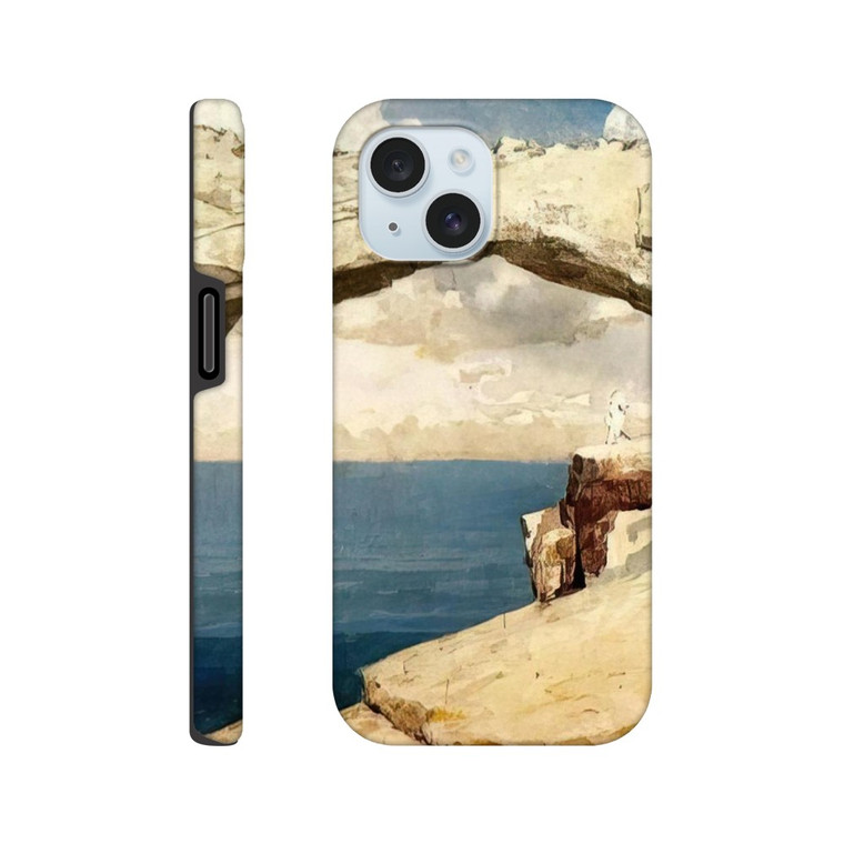 Winslow Homer - GLASS WINDOWS BAHAMAS 1885 Tough case