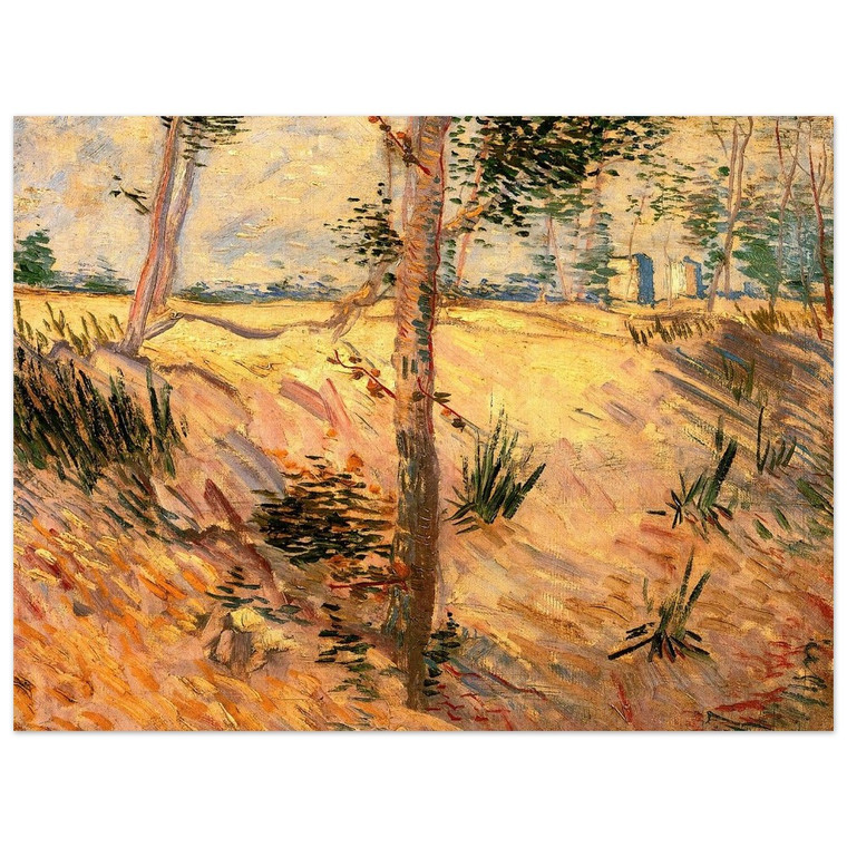 Vincent van Gogh  Trees in a Field on a Sunny Day Aluminum Print