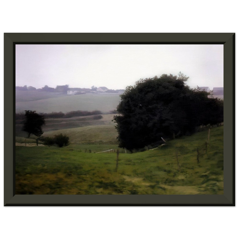 Gerhard Richter  MEADOWLAND Premium Metal Framed Art Print / Poster