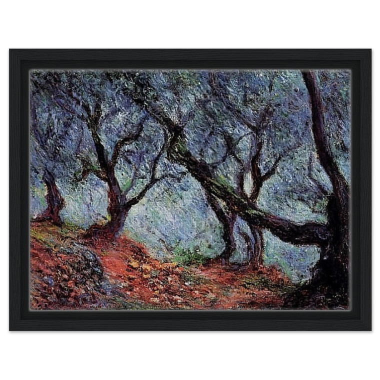 claude monet  Grove of Olive Trees in Bordighera Framed Canvas