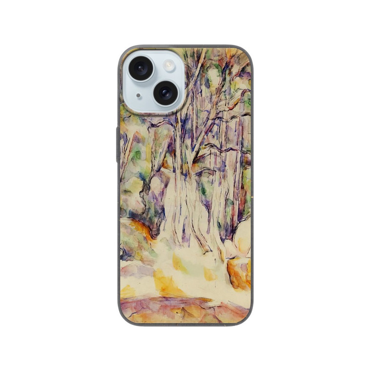 Paul Cezanne - The Park of the Chateau Noir with Well Bio case