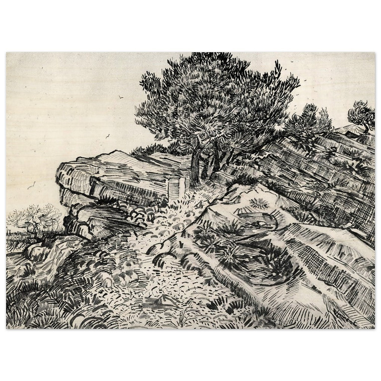 Vincent van Gogh  Montmajour Wood Print