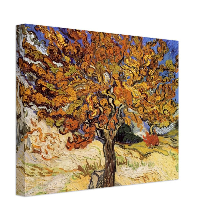 Vincent van Gogh  Mulberry Tree Canvas