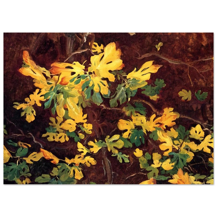 John Singer Sargent  Study of a Fig Tree Fine Art Poster / Art Print