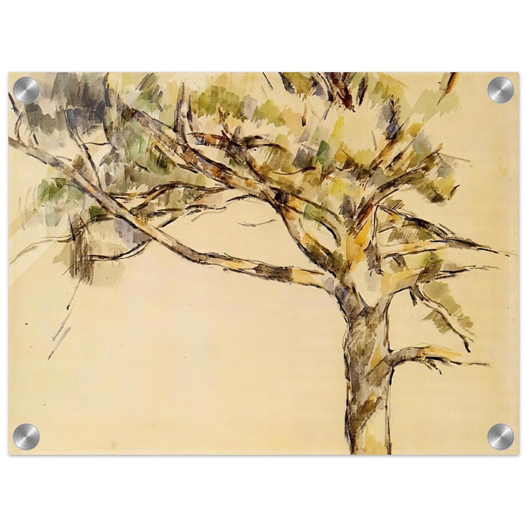 Paul Cezanne  Large Pine Acrylic Print