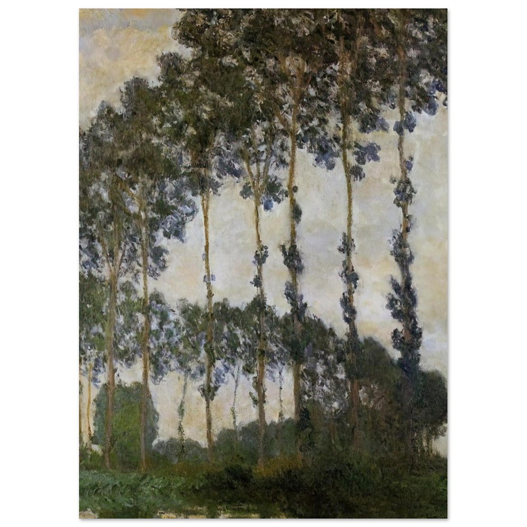 claude monet  Poplars at Giverny Fine Art Poster / Art Print