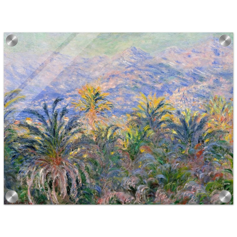claude monet  Palm Trees at Bordighera Acrylic Print