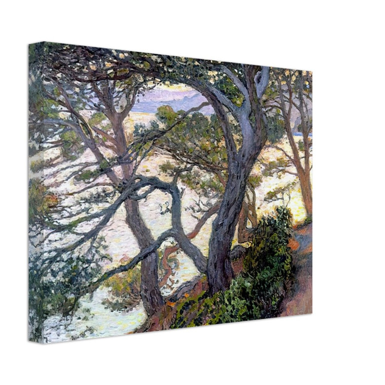 Theo van Rysselberghe  PINES OF RAYOL 1912 Canvas