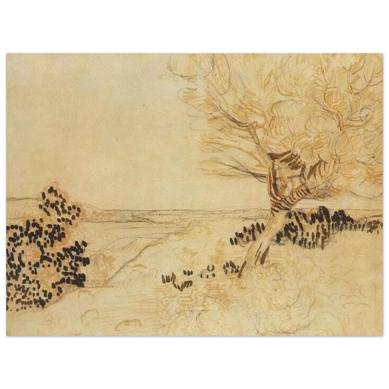 Vincent van Gogh  Landscape with a Tree in the Foreground Aluminum Print
