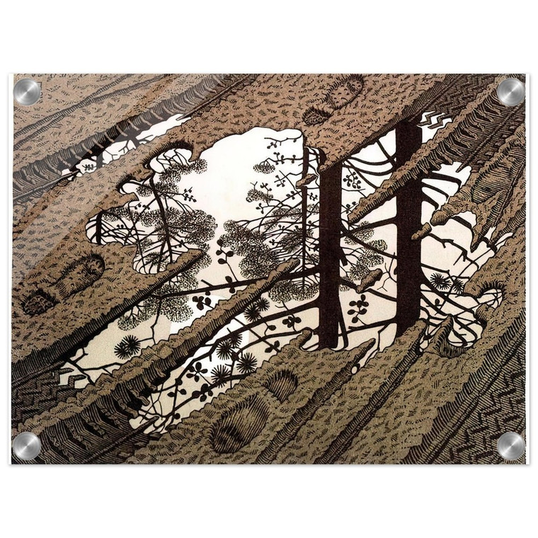 MC Escher  PUDDLE Acrylic Print
