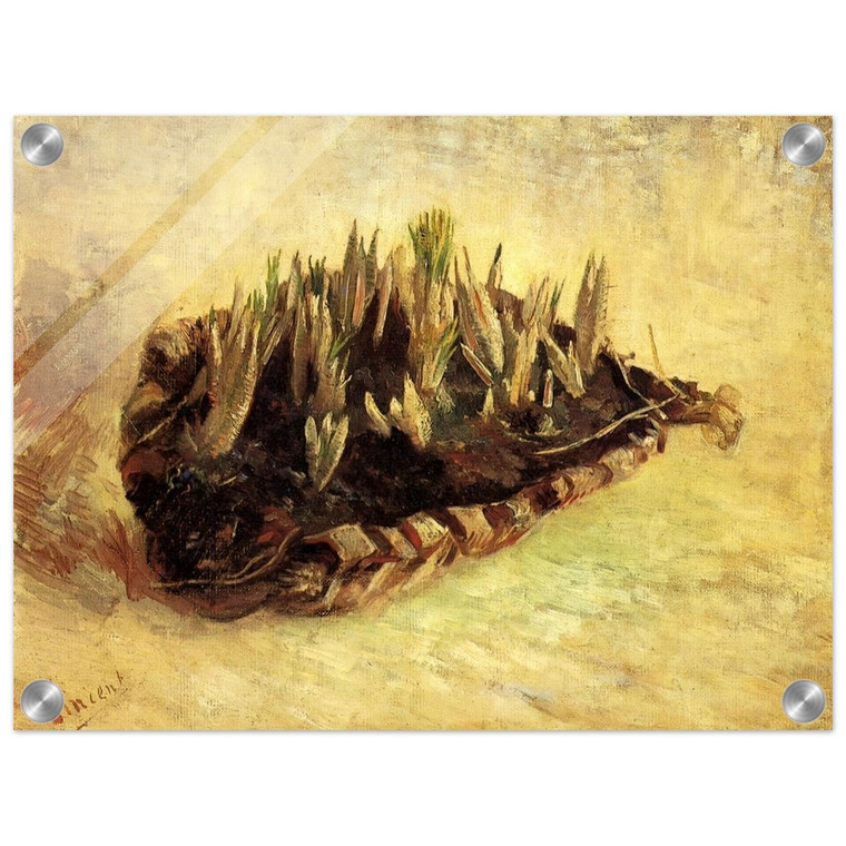 Vincent van Gogh  Still Life with a Basket of Crocuses Acrylic Print