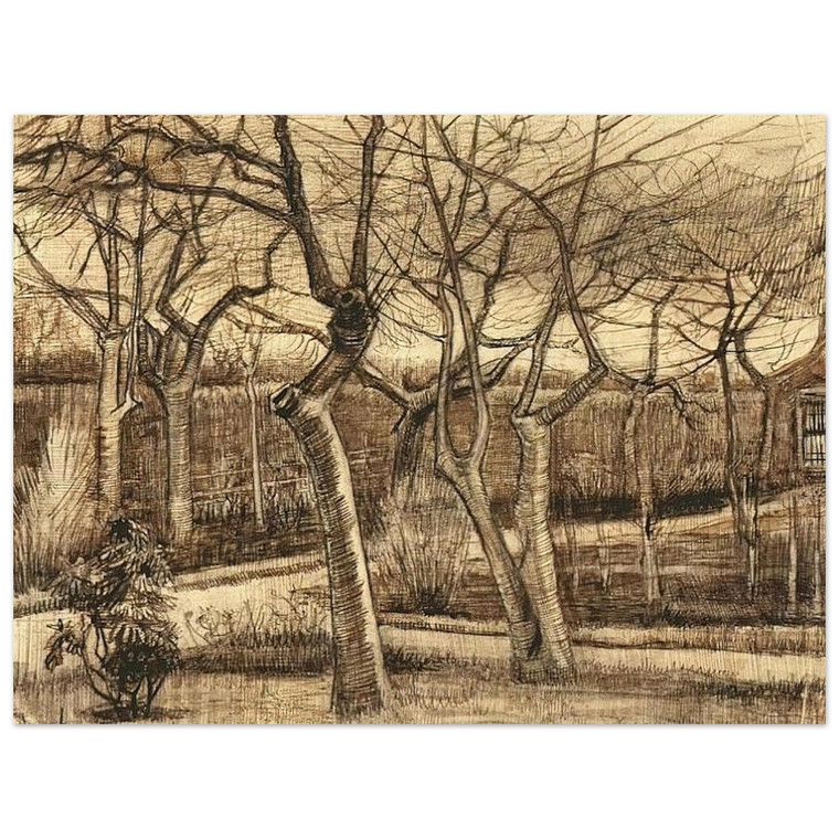 Vincent van Gogh  The Vicarage Garden Aluminum Print