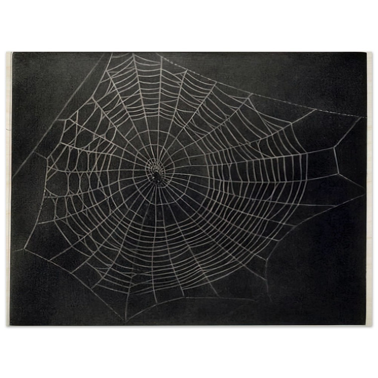 Vija Celmins  UNTITLED SPIDER WEB 2000 Wood Print