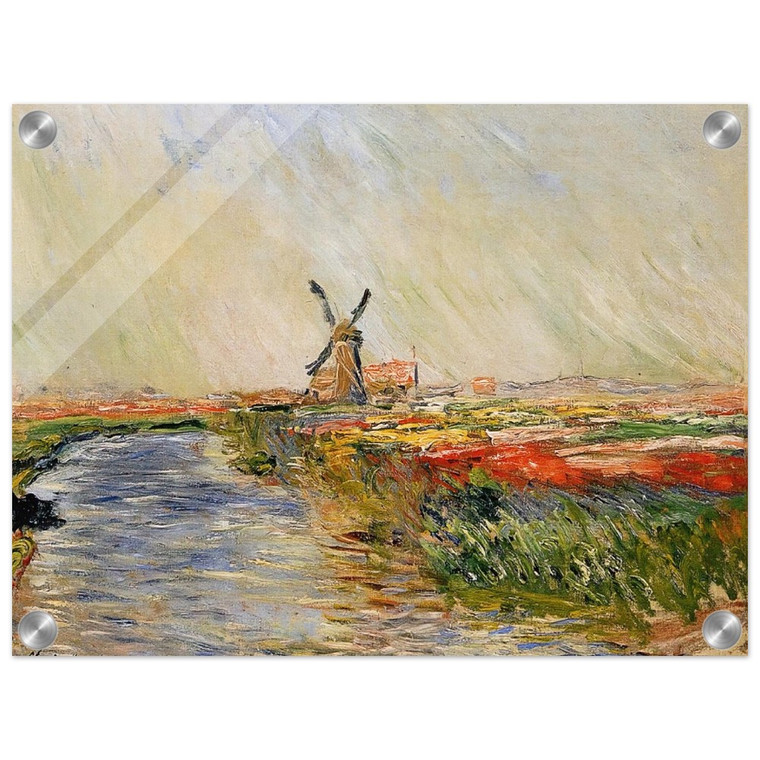 claude monet  Tulip Field in Holland Acrylic Print