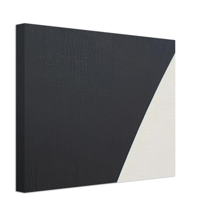 Ellsworth Kelly  White Curve VII Canvas