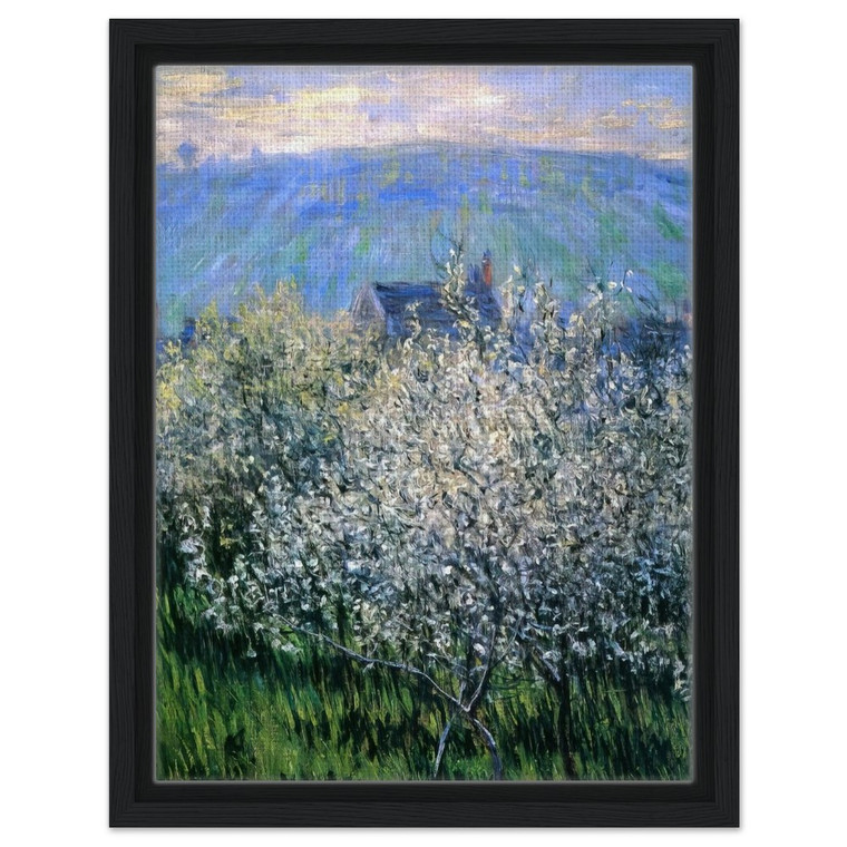 claude monet  Plums Blossom Framed Canvas