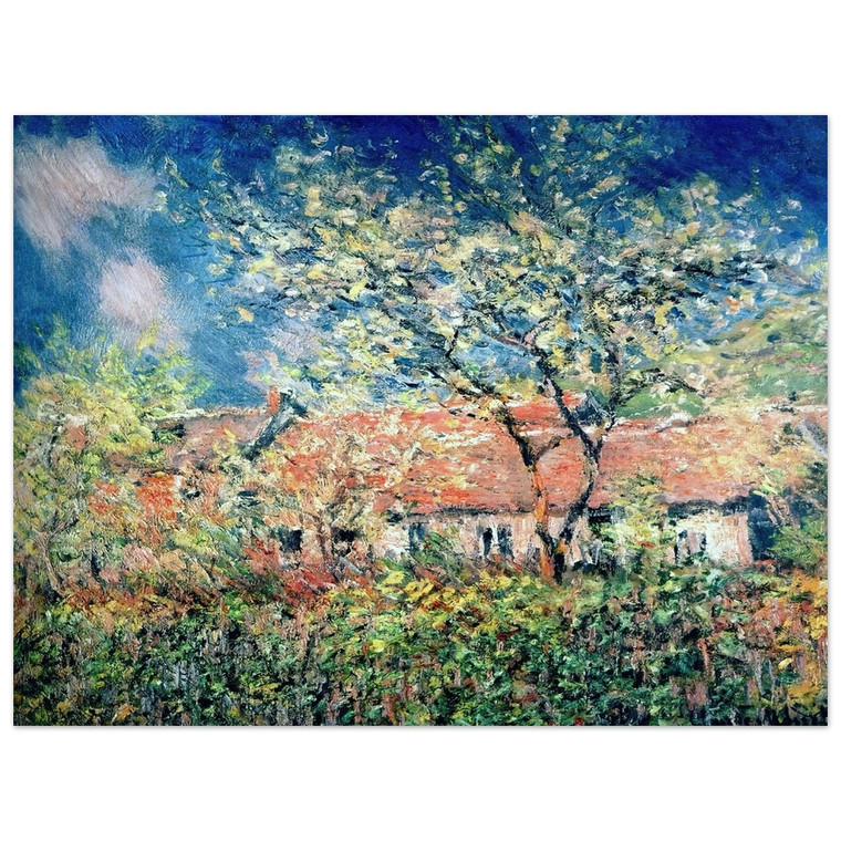 claude monet  Springtime at Giverny Aluminum Print