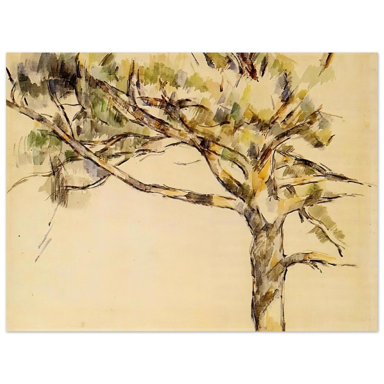 Paul Cezanne  Large Pine Aluminum Print