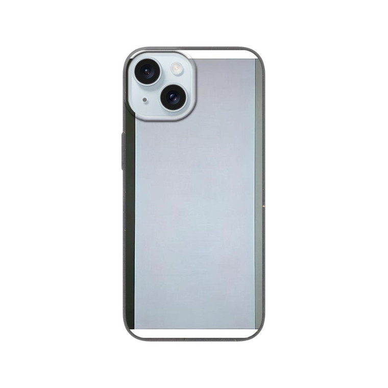 Brice Marden - Grove Group III - 1973 Bio case