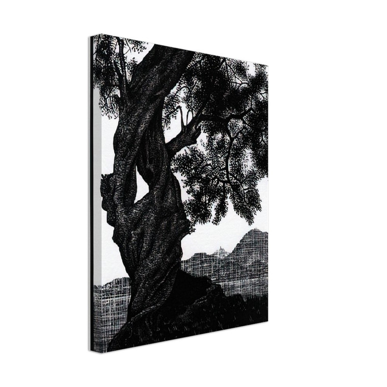 MC Escher  OLD OLIVE TREE CORSICA Canvas