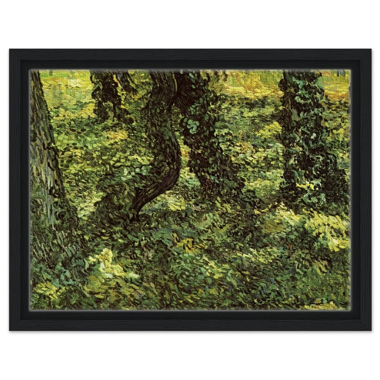 Vincent van Gogh  Trunks of Trees with Ivy Framed Canvas