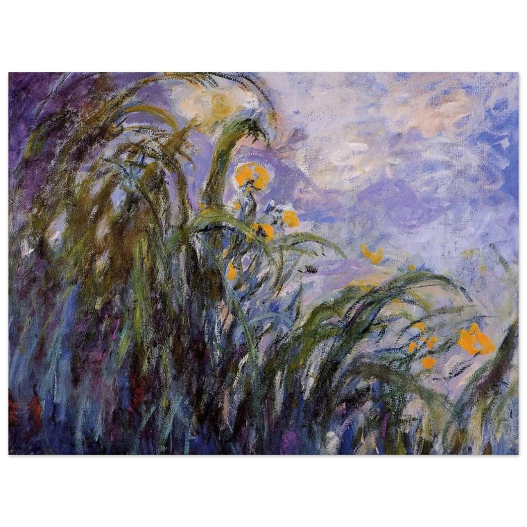 claude monet  Yellow Irises Aluminum Print