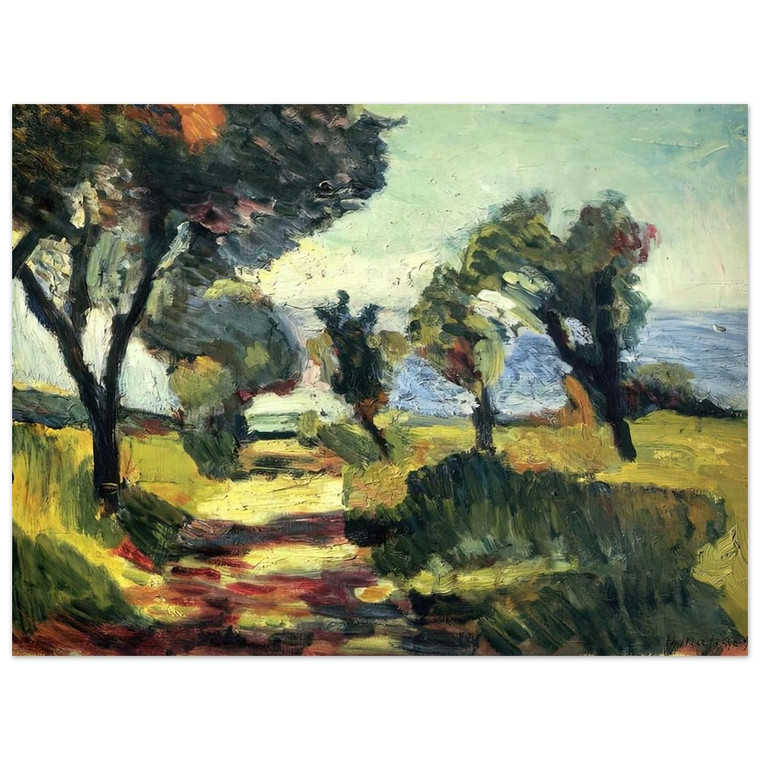 Henri Matisse  OLIVE TREES 1898 Aluminum Print
