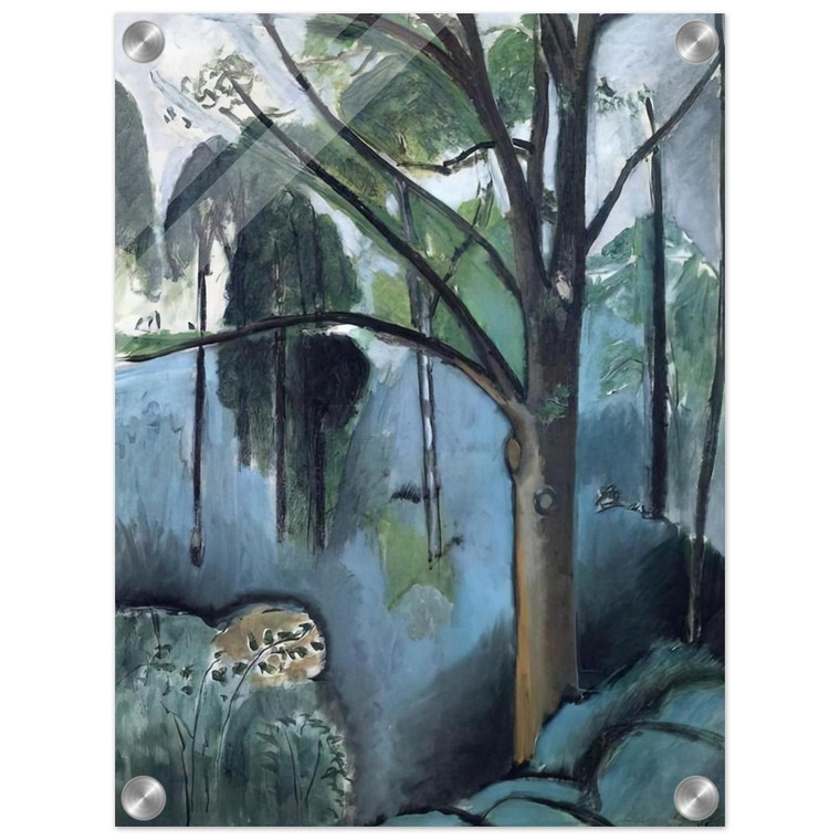 Henri Matisse  TRIVAUX POND 1917 Acrylic Print
